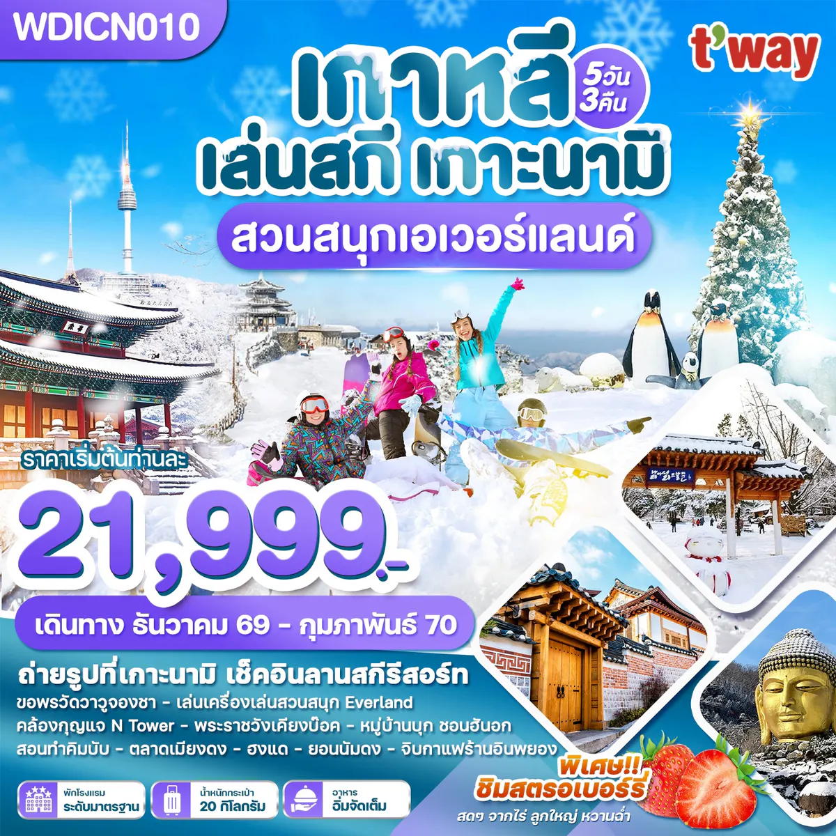 WDICN010 เกาหลี เล่นสกี เกาะนามิ เที่ยวปีใหม่!! สวนสนุกเอเวอร์แลนด์ 5วัน3คืน บิน TW